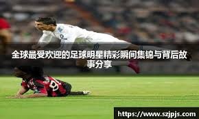 综合体育明星动态追踪 运动员状态与赛场表现分析