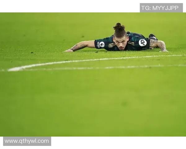 综合度假区的产业集群效应（综合度假区的产业集聚效应）