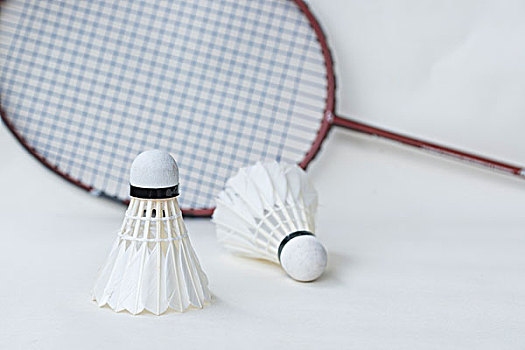 在篮球公园 在篮球公园