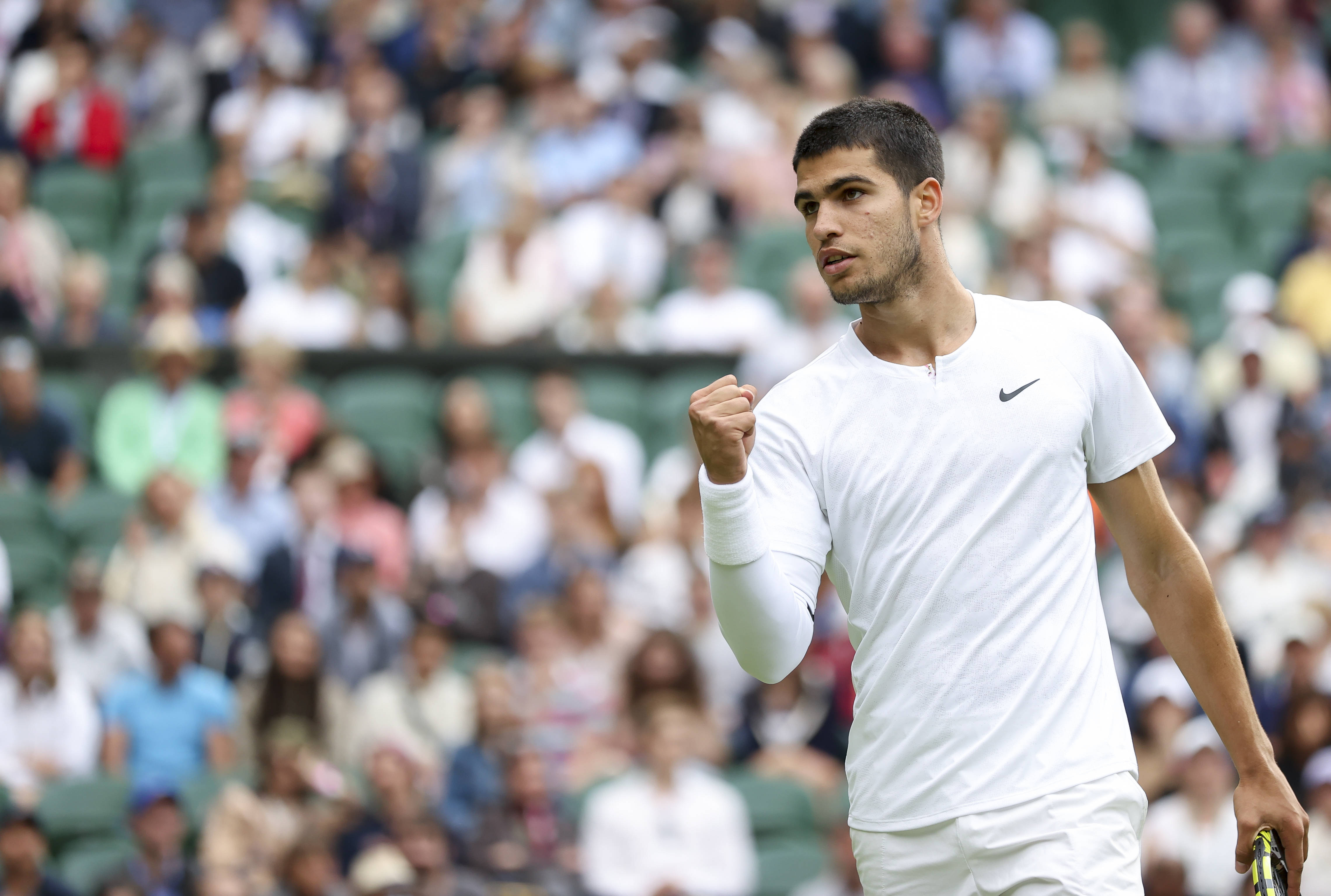 他们期待范 他们期待范