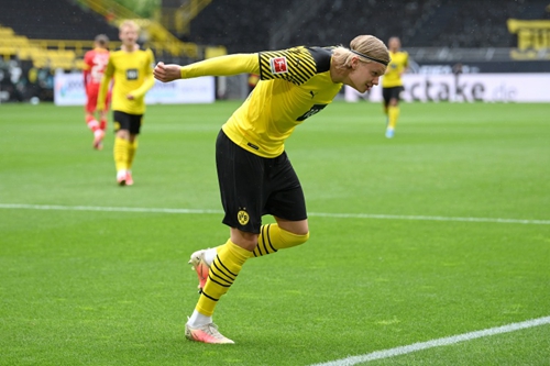 活的点缀 活的点缀